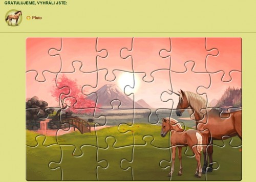 puzzle-12z12.jpg